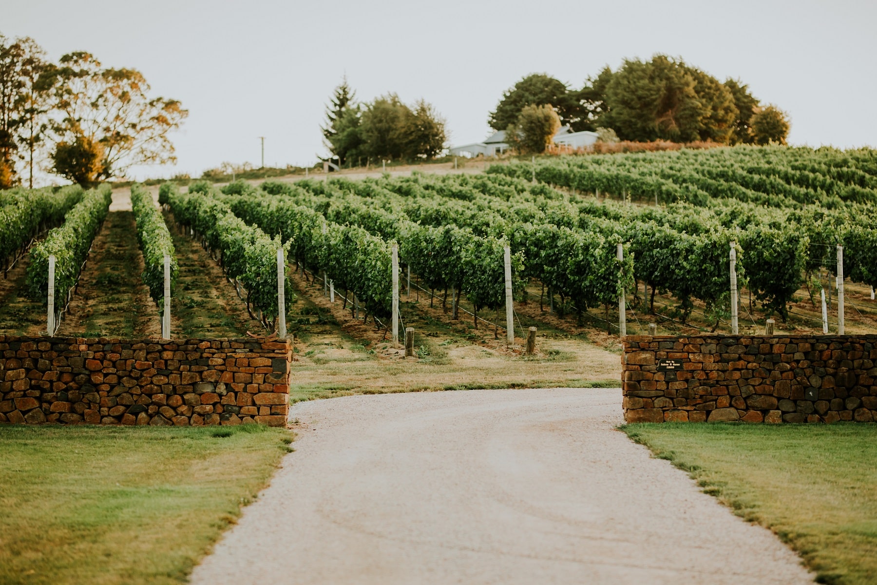 Discover the charm of Deloraine