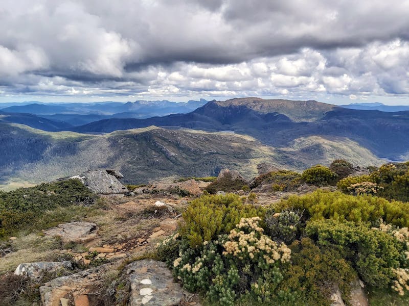 Bushwalking