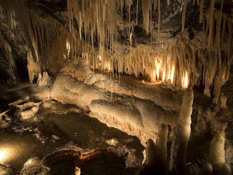 Mole Creek Caves
